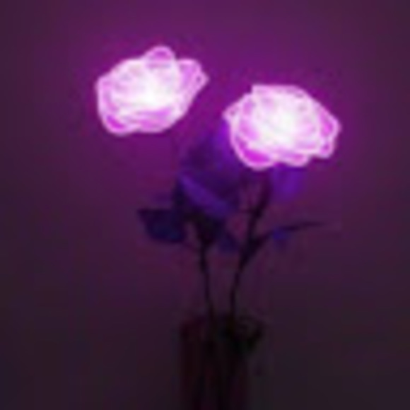 Meet your Posher, Fela - Picture 1 of 1